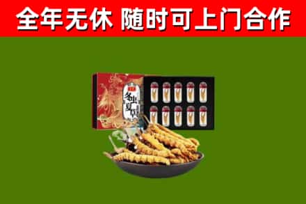 青羊烟酒回收冬虫夏草礼盒.jpg